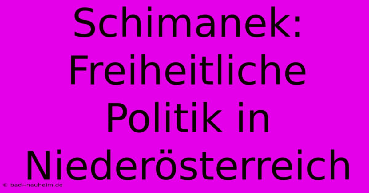 Schimanek: Freiheitliche Politik In Niederösterreich