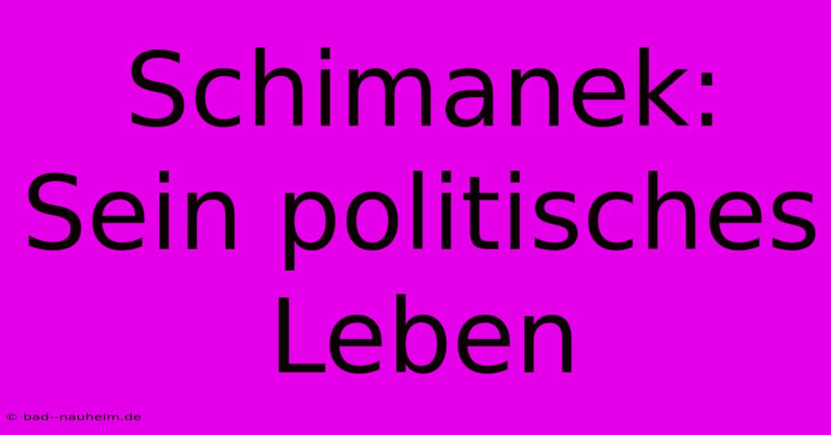 Schimanek: Sein Politisches Leben