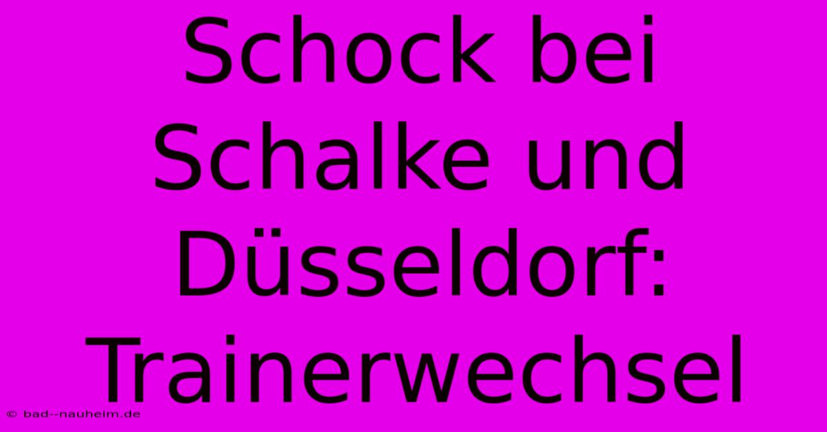 Schock Bei Schalke Und Düsseldorf: Trainerwechsel