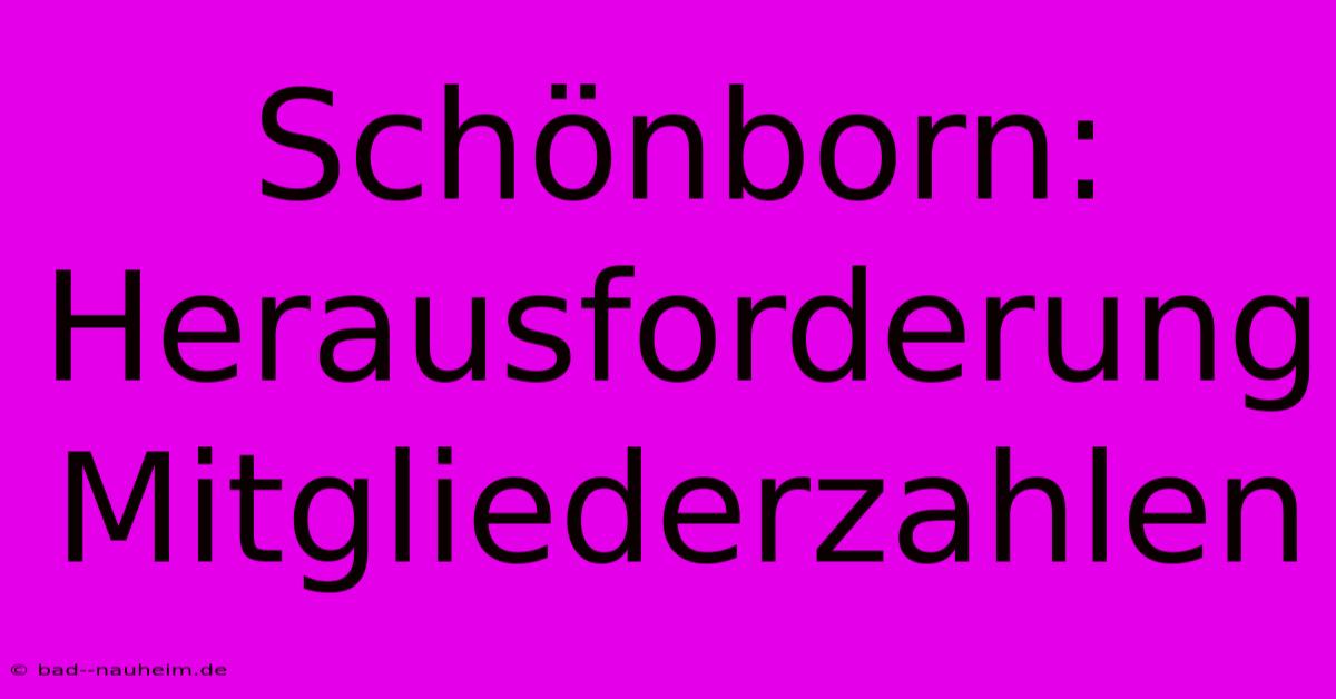 Schönborn: Herausforderung Mitgliederzahlen