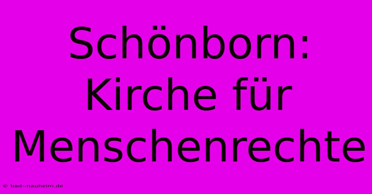 Schönborn: Kirche Für Menschenrechte