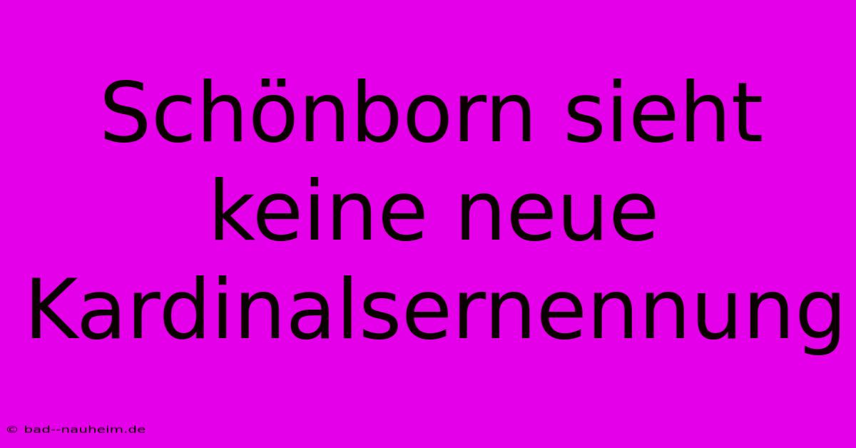 Schönborn Sieht Keine Neue Kardinalsernennung