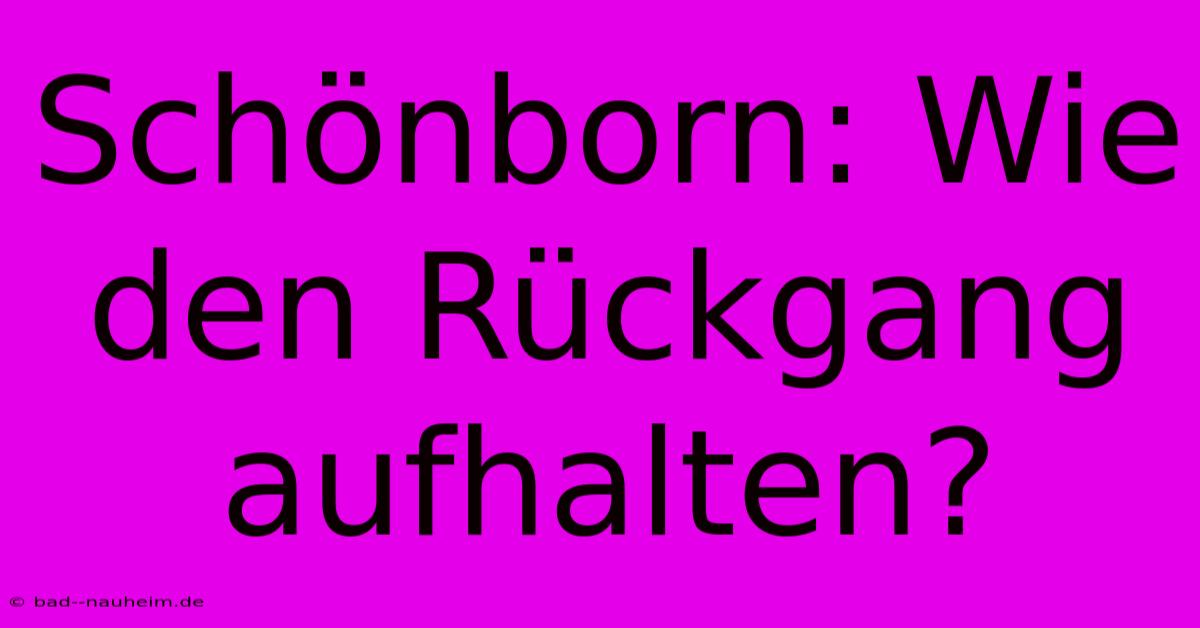 Schönborn: Wie Den Rückgang Aufhalten?