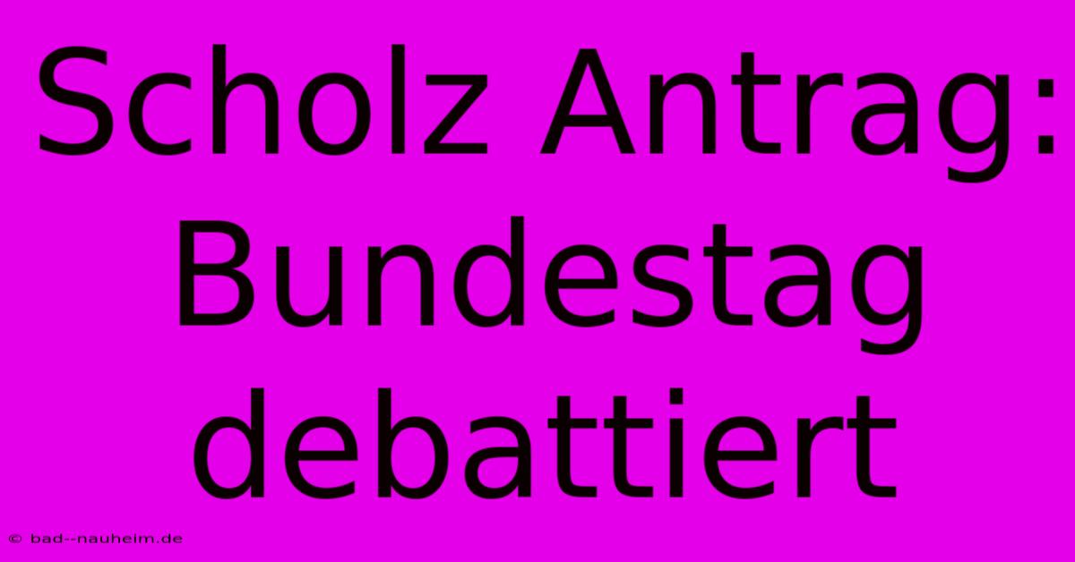 Scholz Antrag: Bundestag Debattiert