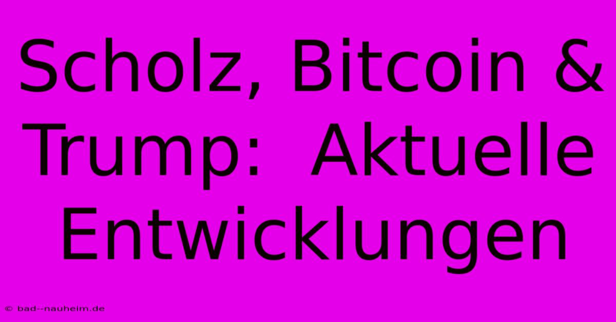 Scholz, Bitcoin & Trump:  Aktuelle Entwicklungen