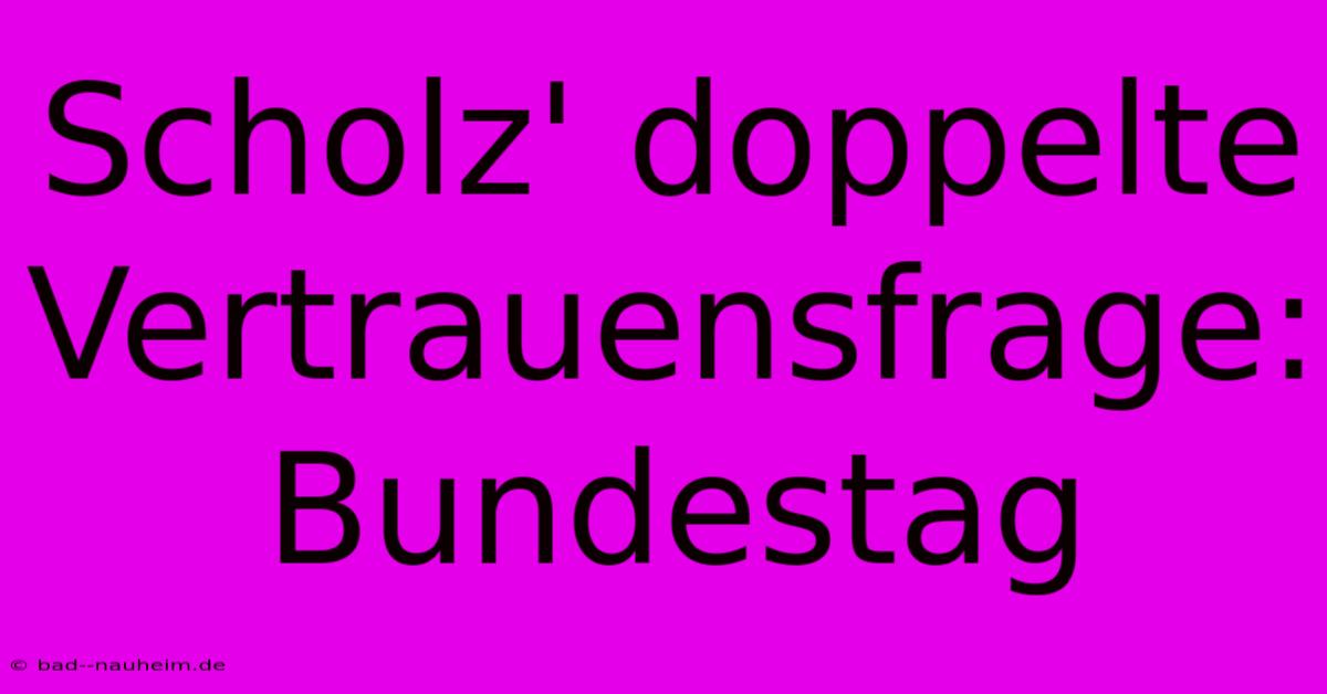 Scholz' Doppelte Vertrauensfrage: Bundestag