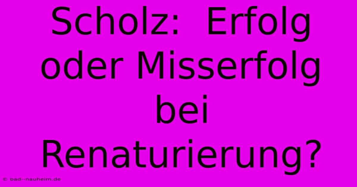 Scholz:  Erfolg Oder Misserfolg Bei Renaturierung?