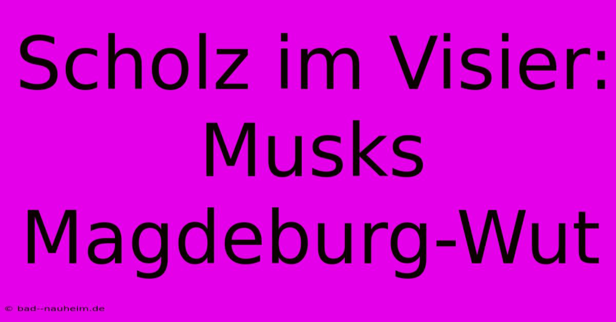 Scholz Im Visier: Musks Magdeburg-Wut