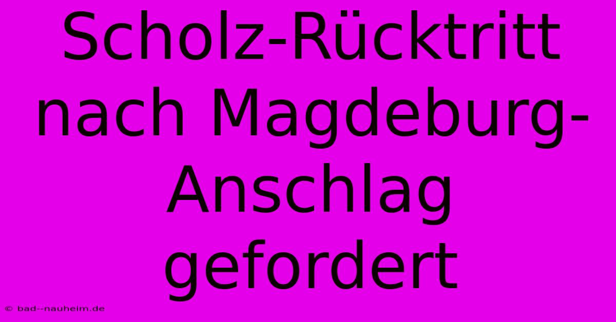 Scholz-Rücktritt Nach Magdeburg-Anschlag Gefordert