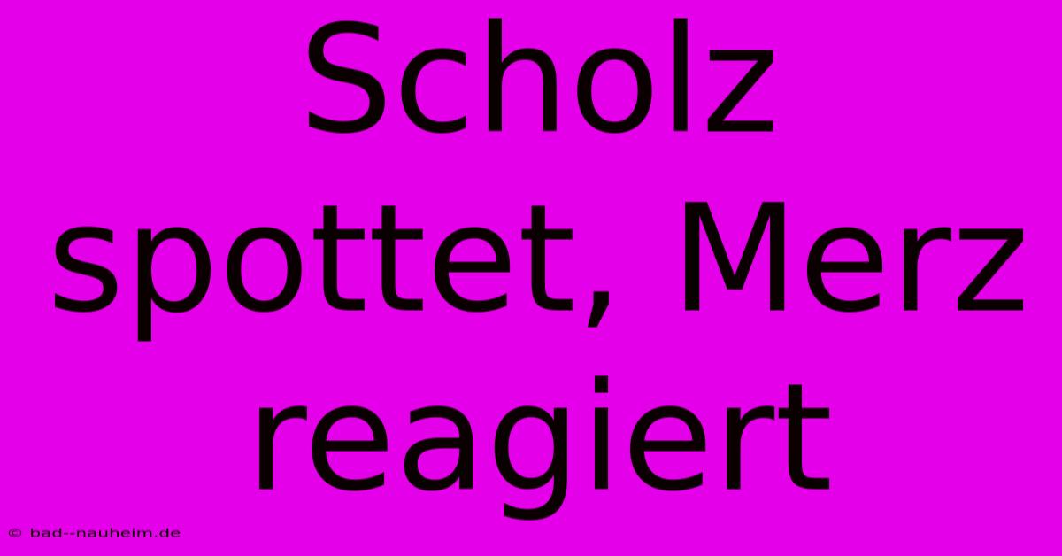 Scholz Spottet, Merz Reagiert