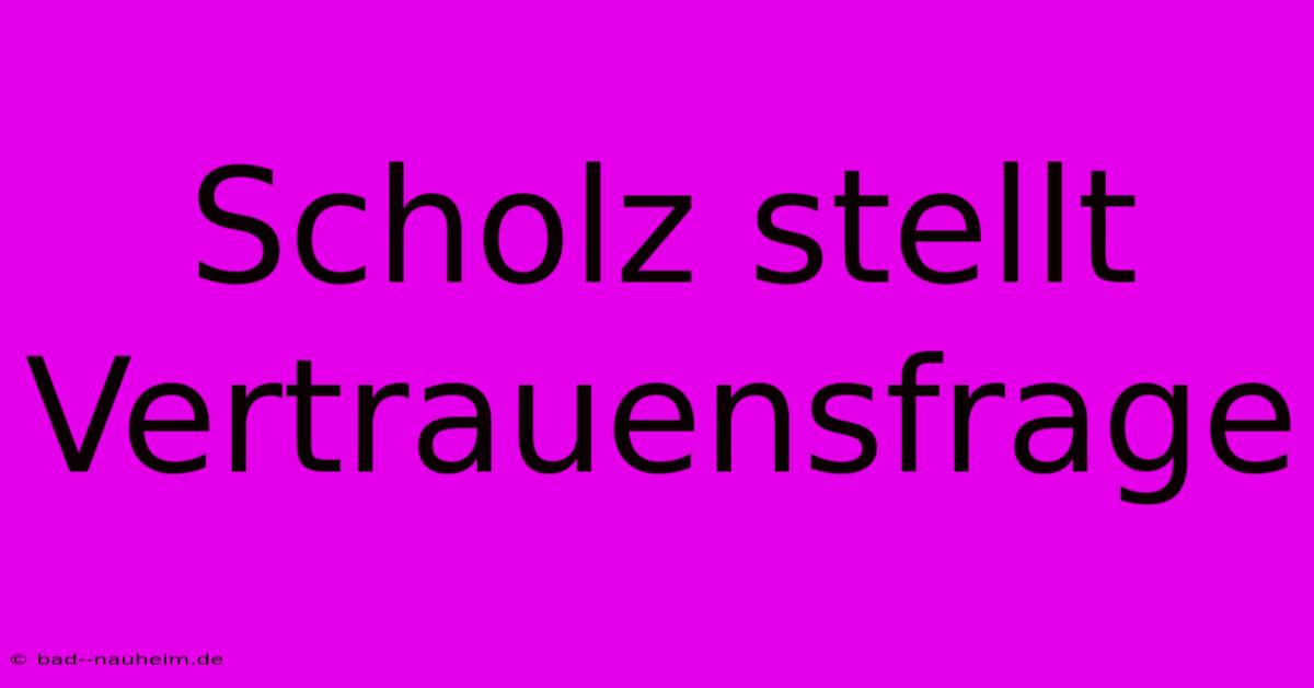 Scholz Stellt Vertrauensfrage