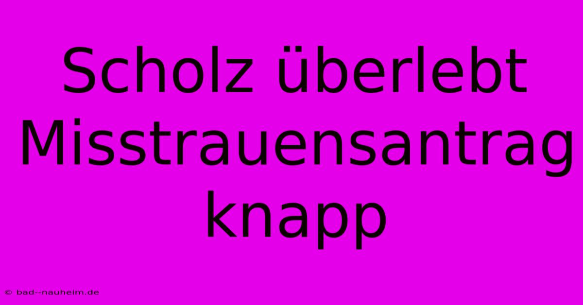 Scholz Überlebt Misstrauensantrag Knapp