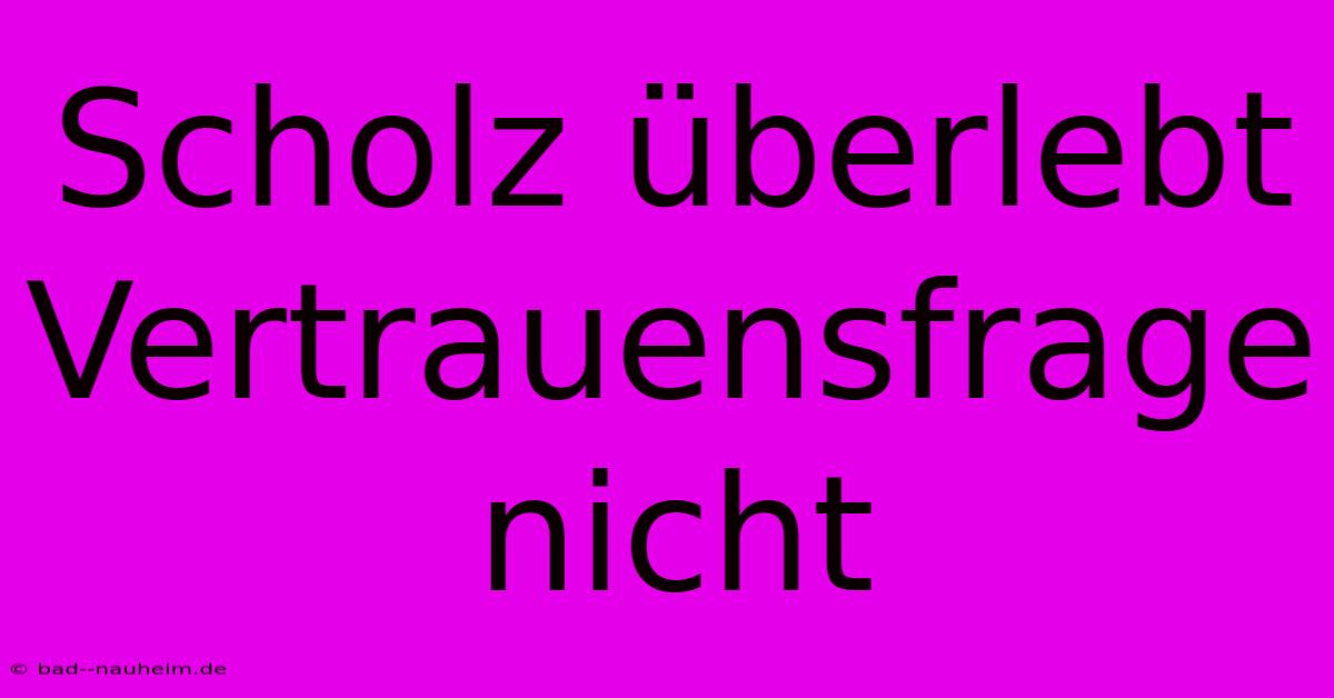 Scholz Überlebt Vertrauensfrage Nicht