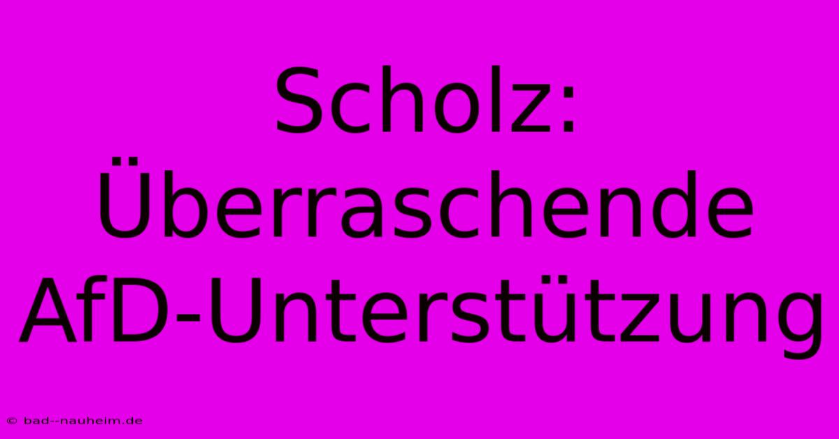 Scholz: Überraschende AfD-Unterstützung