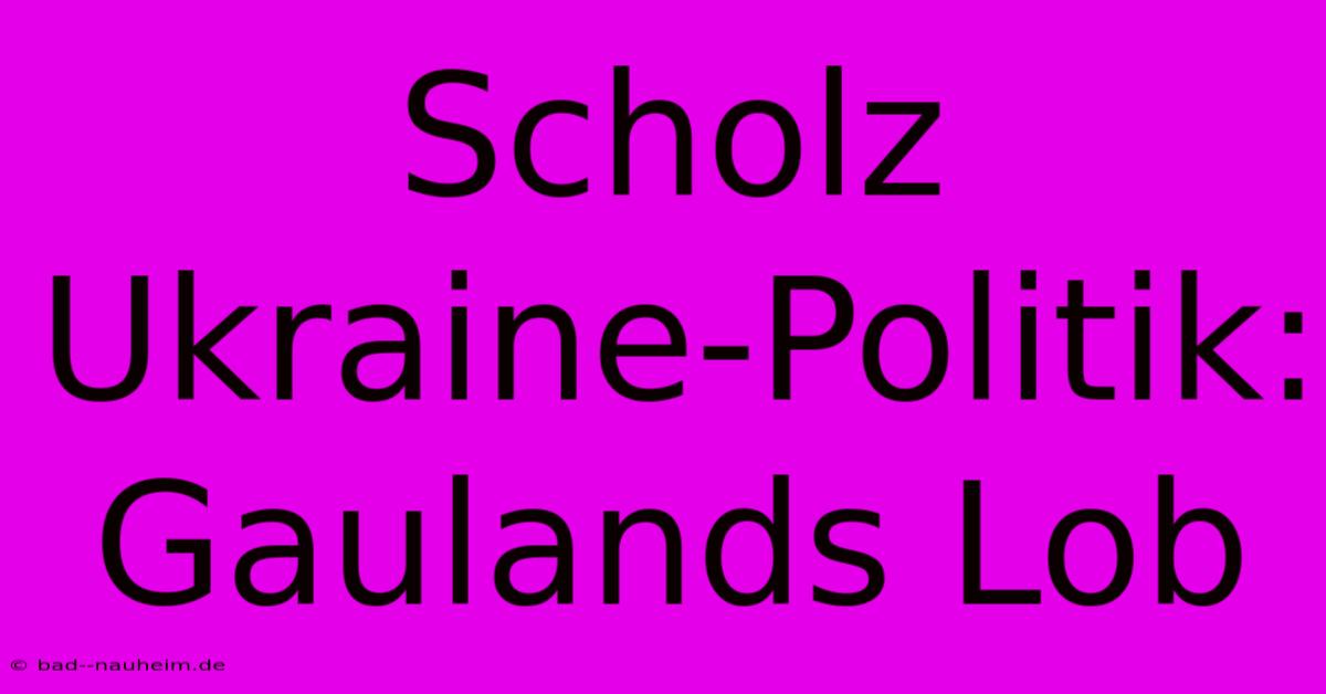 Scholz Ukraine-Politik: Gaulands Lob