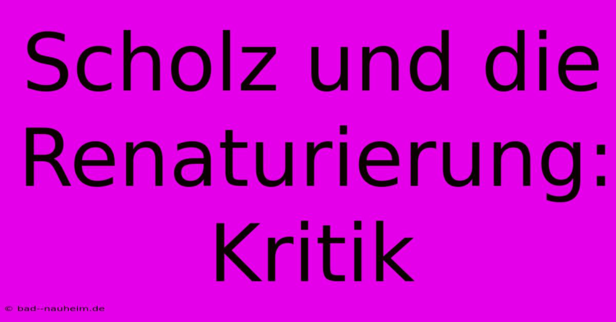 Scholz Und Die Renaturierung: Kritik