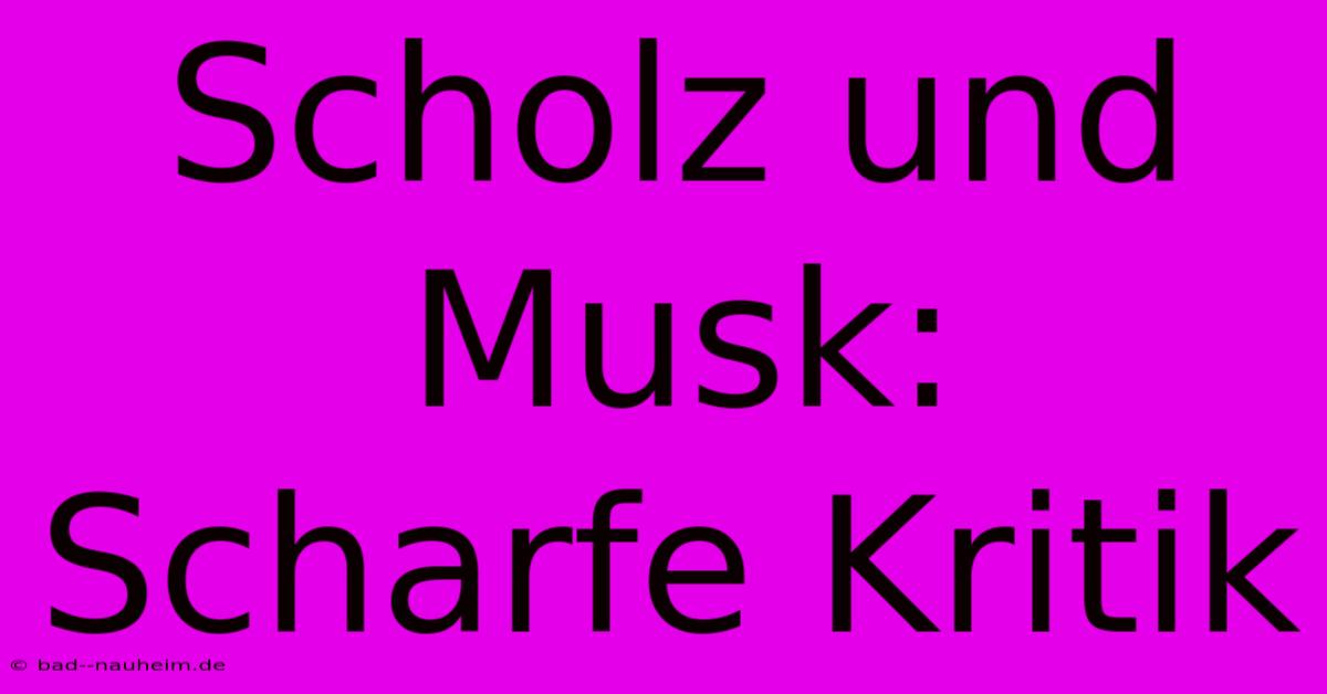 Scholz Und Musk: Scharfe Kritik