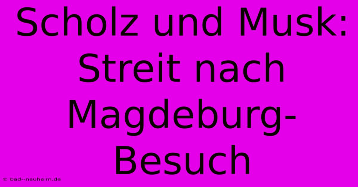 Scholz Und Musk: Streit Nach Magdeburg-Besuch