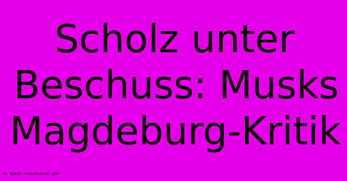 Scholz Unter Beschuss: Musks Magdeburg-Kritik