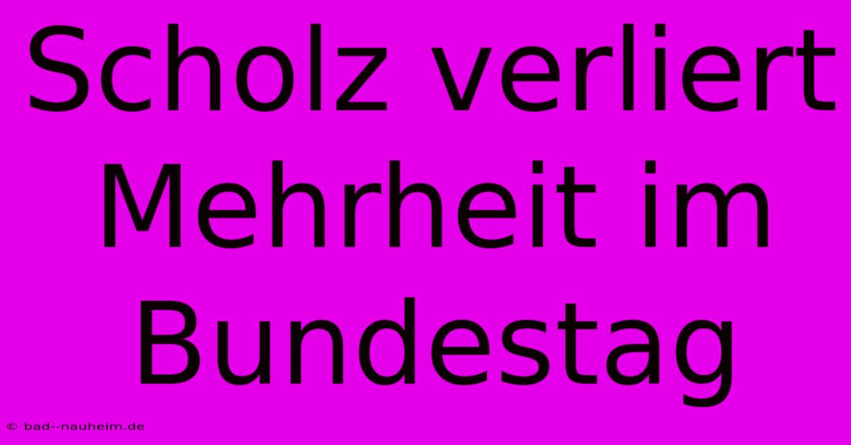 Scholz Verliert Mehrheit Im Bundestag