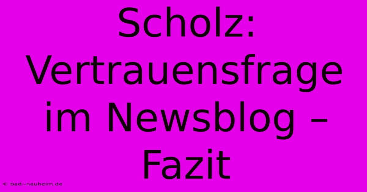 Scholz: Vertrauensfrage Im Newsblog – Fazit