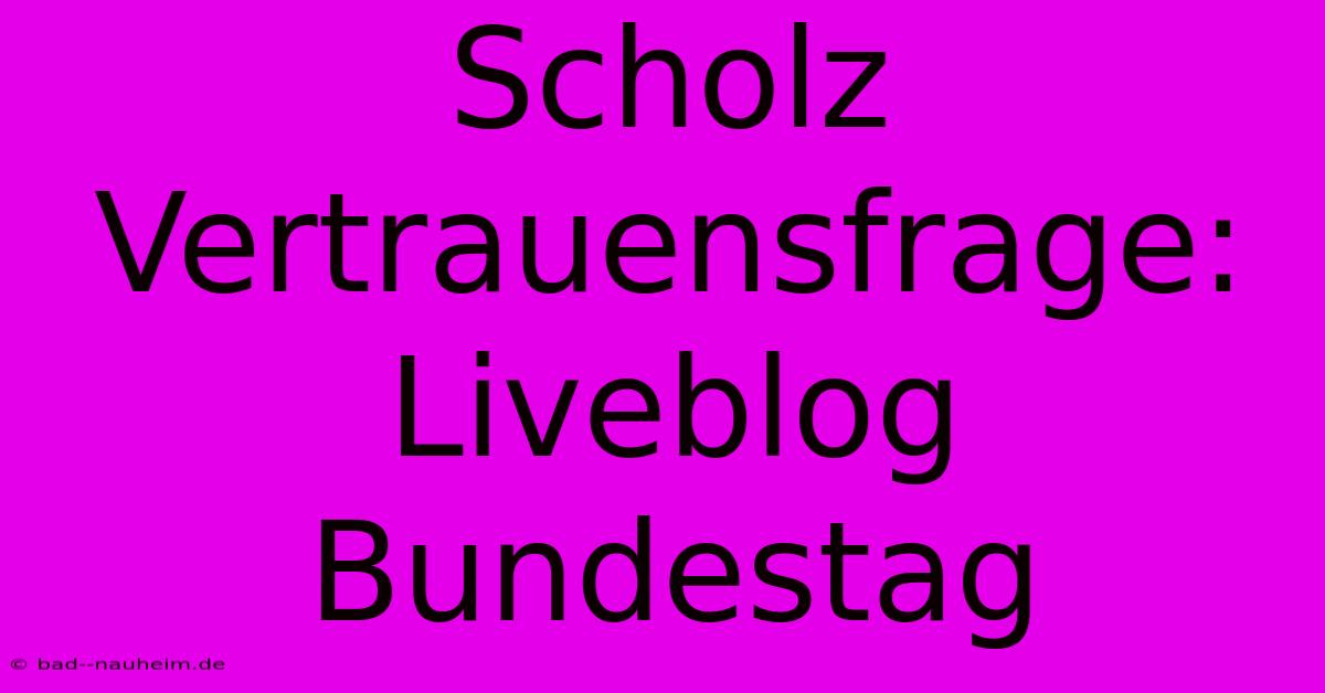 Scholz Vertrauensfrage: Liveblog Bundestag