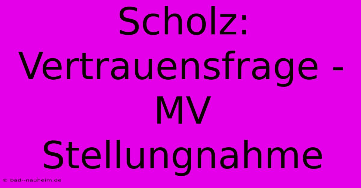 Scholz: Vertrauensfrage - MV Stellungnahme