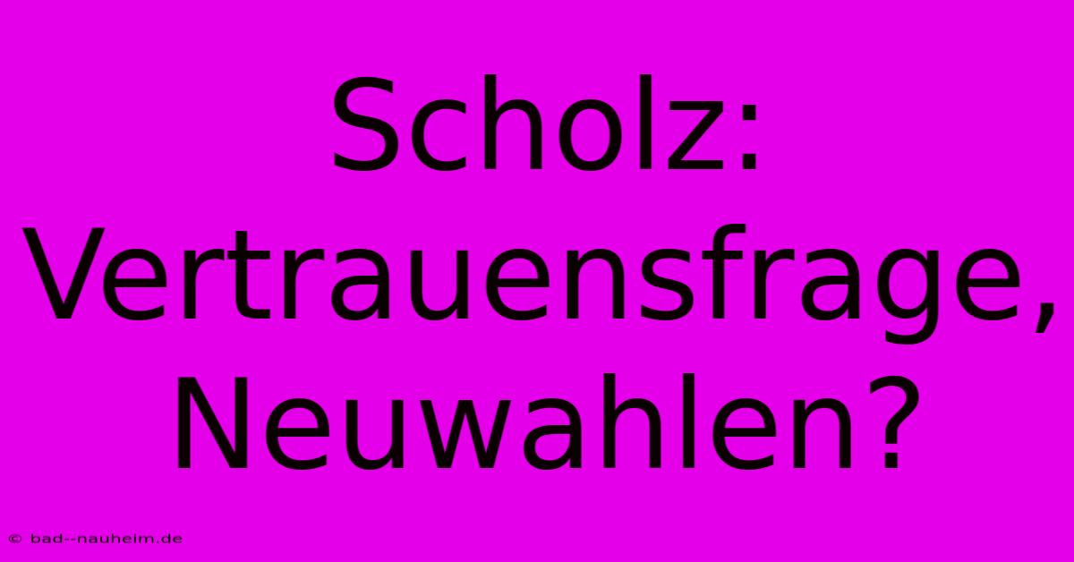 Scholz: Vertrauensfrage, Neuwahlen?