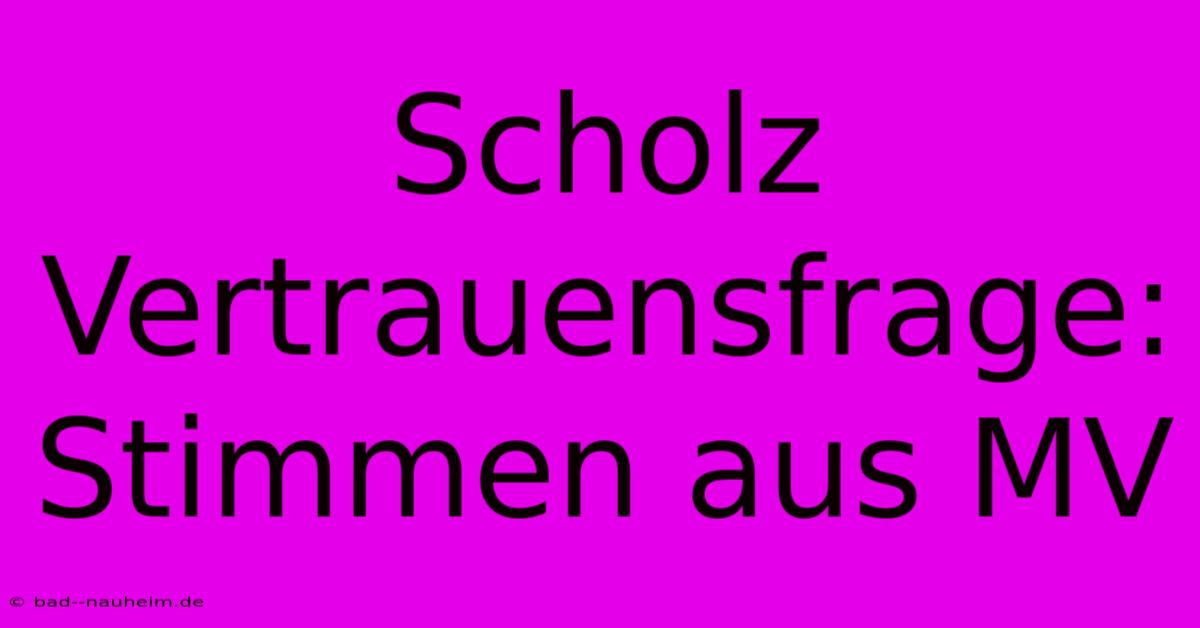 Scholz Vertrauensfrage: Stimmen Aus MV