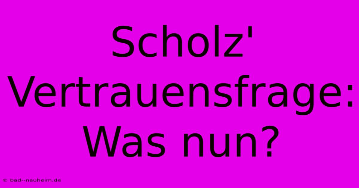 Scholz' Vertrauensfrage:  Was Nun?