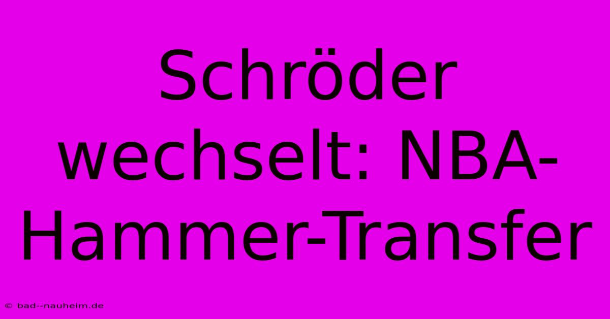 Schröder Wechselt: NBA-Hammer-Transfer