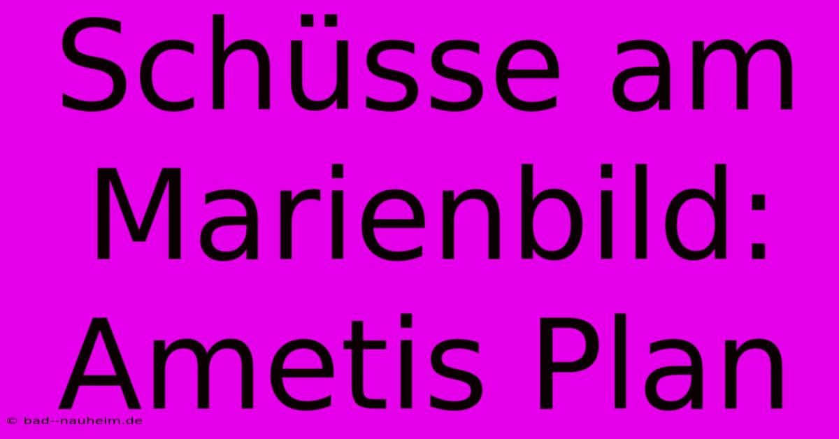 Schüsse Am Marienbild: Ametis Plan