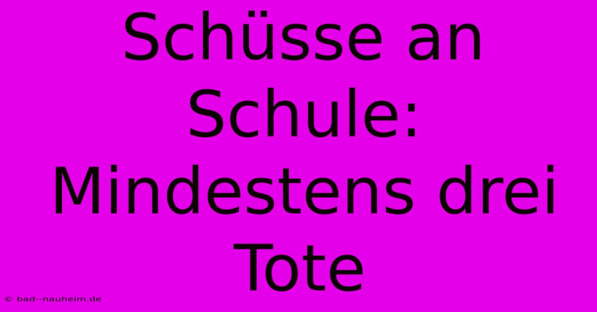 Schüsse An Schule: Mindestens Drei Tote