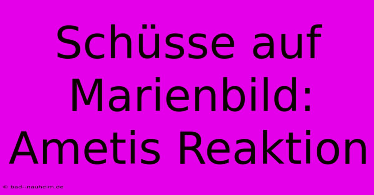 Schüsse Auf Marienbild: Ametis Reaktion