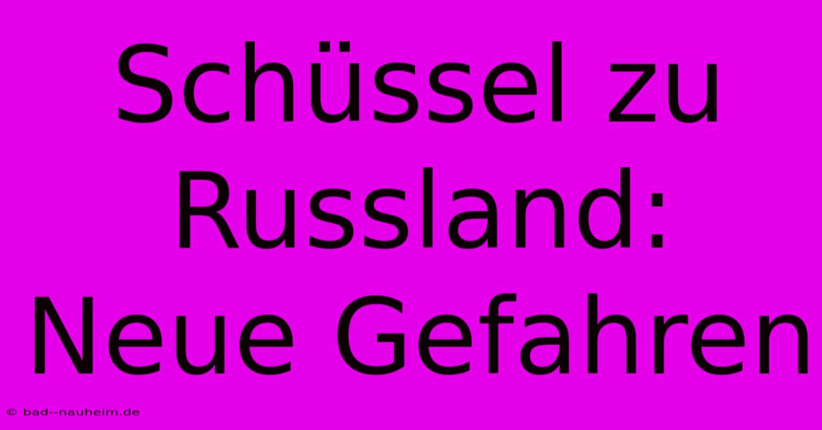 Schüssel Zu Russland: Neue Gefahren