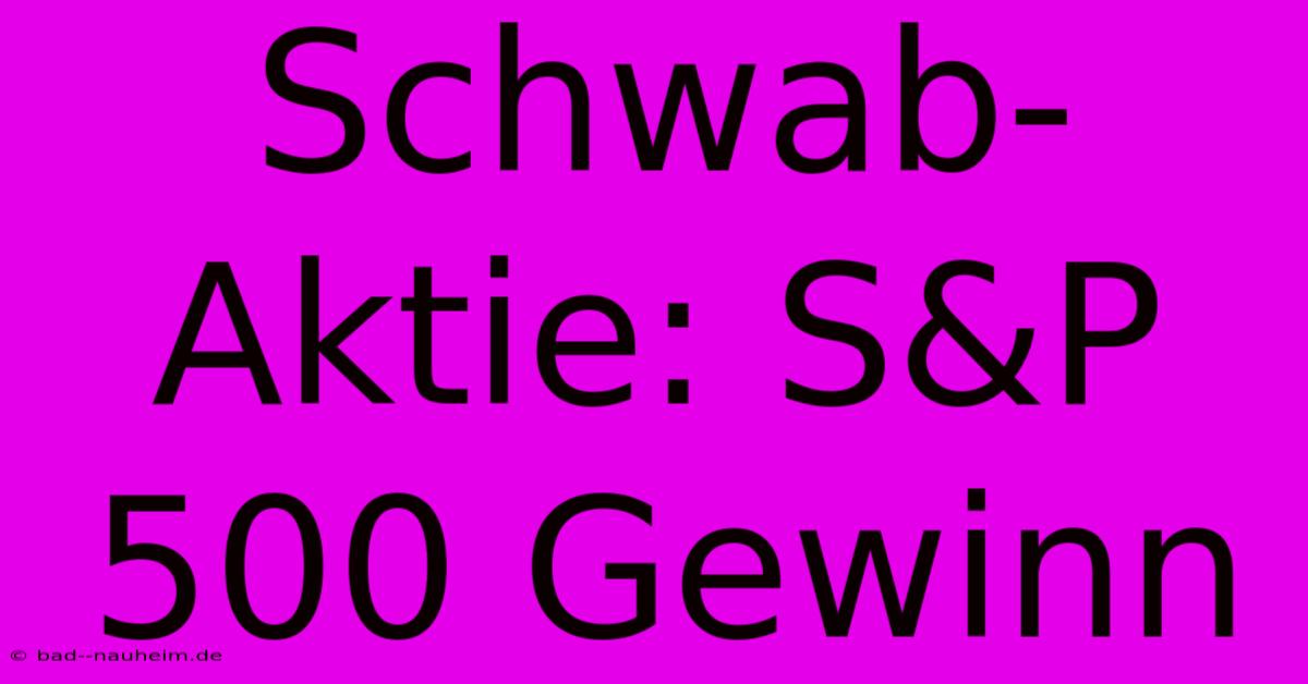 Schwab-Aktie: S&P 500 Gewinn