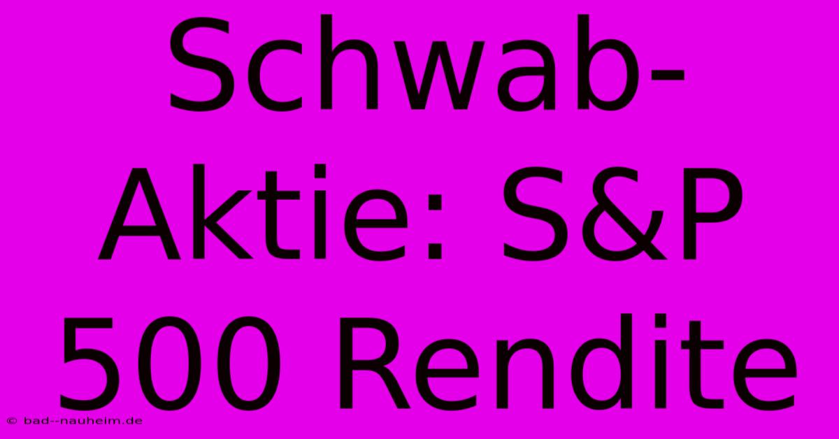 Schwab-Aktie: S&P 500 Rendite