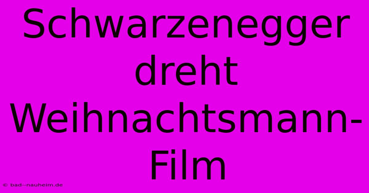 Schwarzenegger Dreht Weihnachtsmann-Film