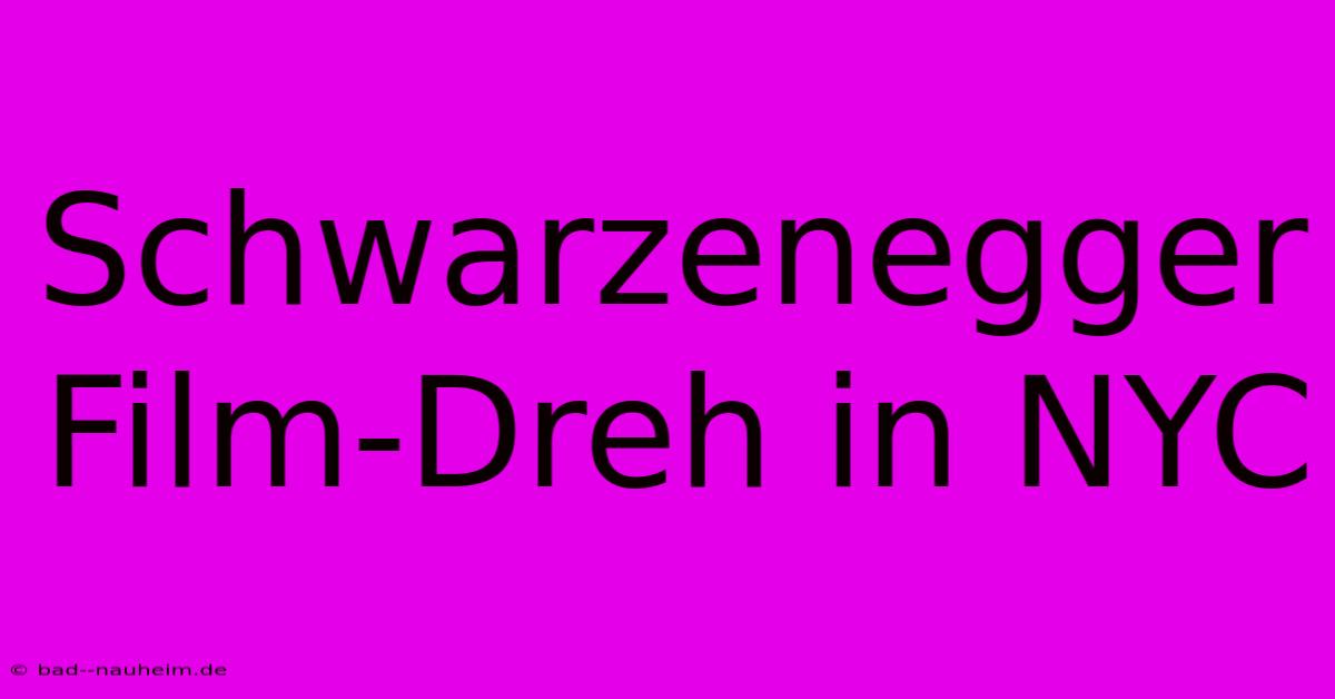 Schwarzenegger Film-Dreh In NYC