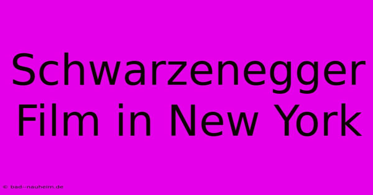 Schwarzenegger Film In New York