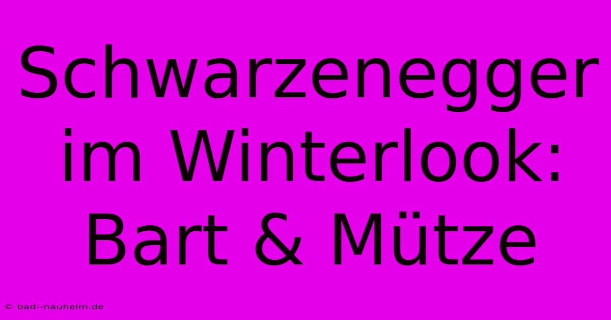 Schwarzenegger Im Winterlook: Bart & Mütze