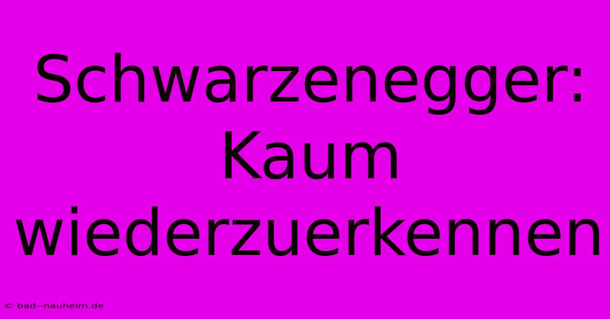 Schwarzenegger: Kaum Wiederzuerkennen