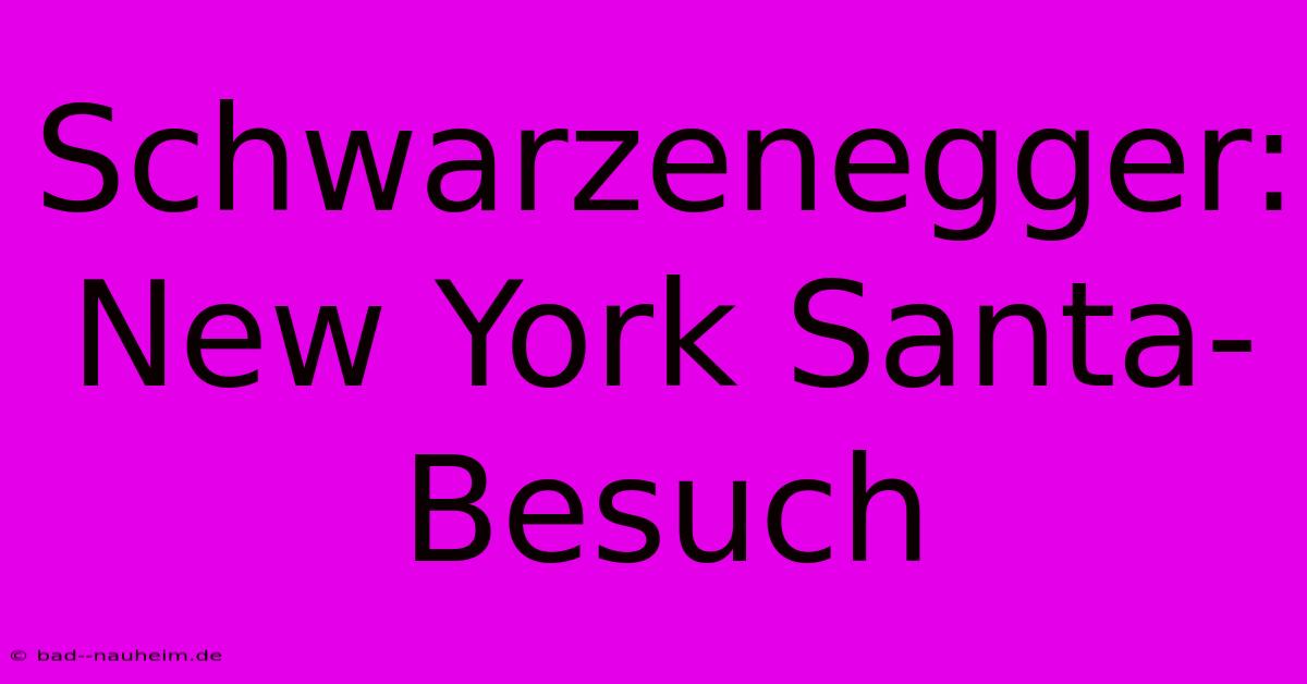 Schwarzenegger:  New York Santa-Besuch