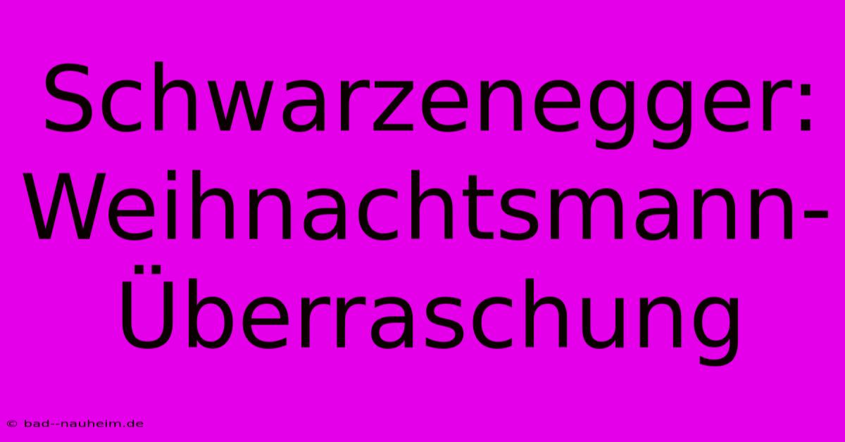 Schwarzenegger: Weihnachtsmann-Überraschung