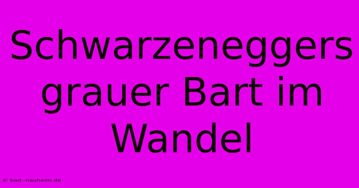 Schwarzeneggers Grauer Bart Im Wandel