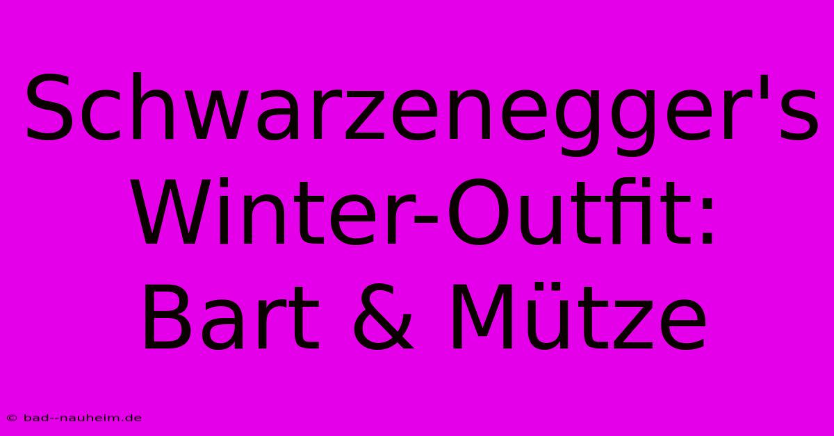 Schwarzenegger's Winter-Outfit: Bart & Mütze