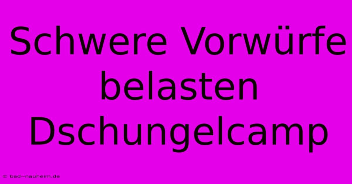 Schwere Vorwürfe Belasten Dschungelcamp