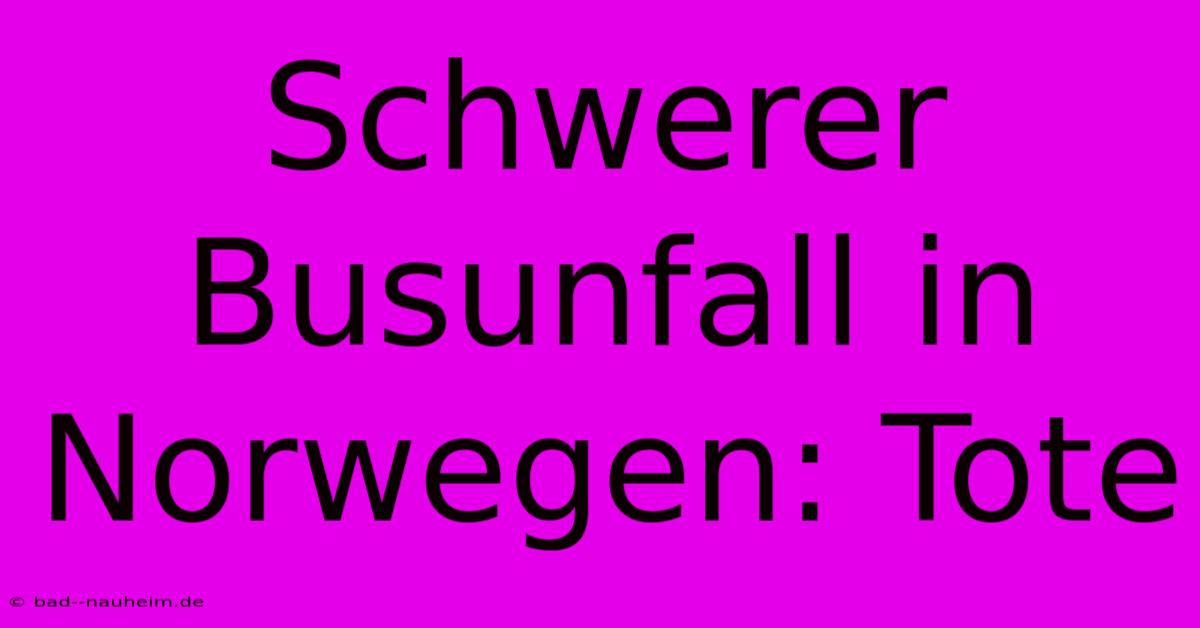 Schwerer Busunfall In Norwegen: Tote