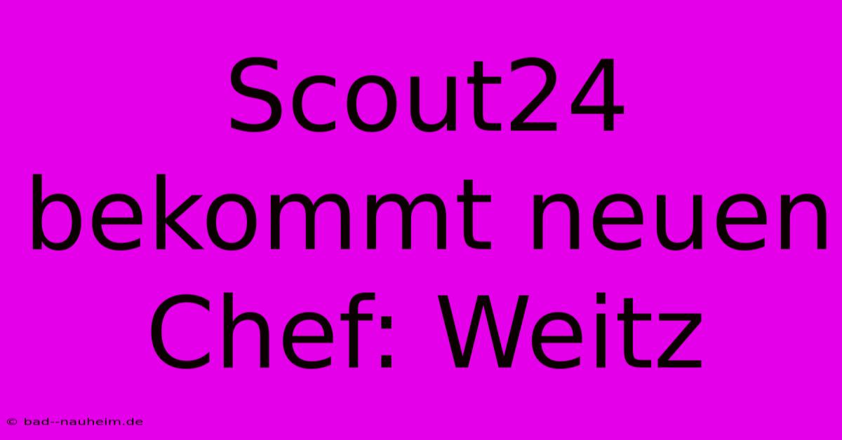 Scout24 Bekommt Neuen Chef: Weitz