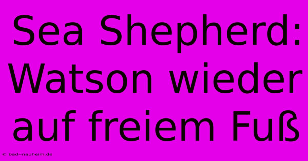 Sea Shepherd: Watson Wieder Auf Freiem Fuß